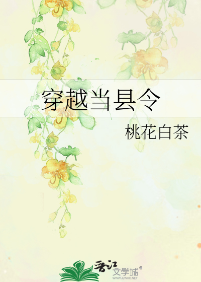穿越当县令65