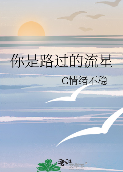 你是路过的流星吗