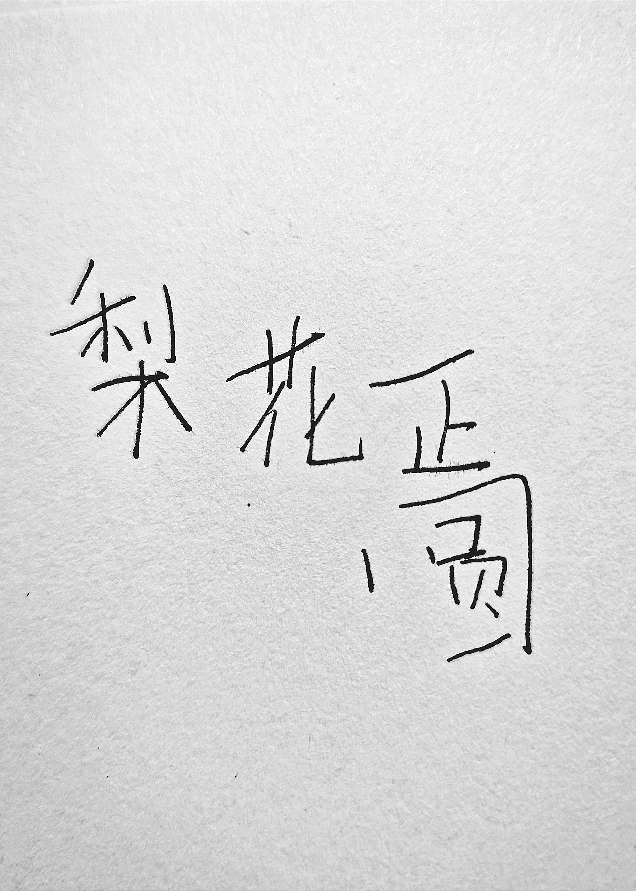 梨花正圆by我将在今天吻你讲的啥