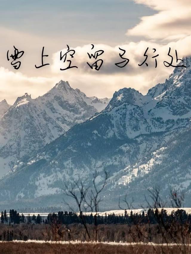 雪上空留马行处的空是什么意思